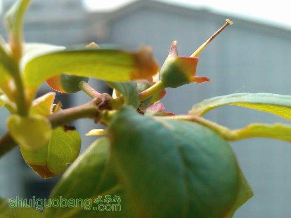 IMG_20150412_101522.jpg