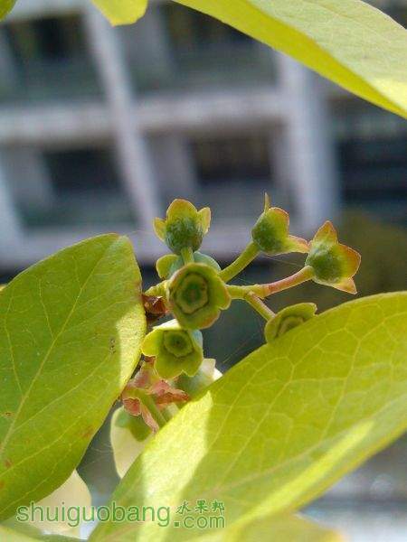 IMG_20150412_101715.jpg