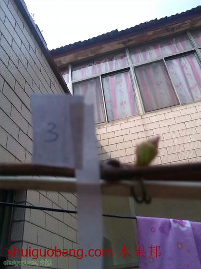 132231mk0uqf72buft2bdq.jpg