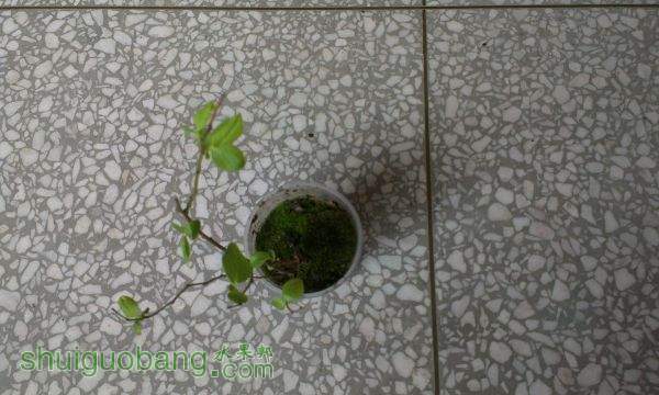 IMAG0028.jpg