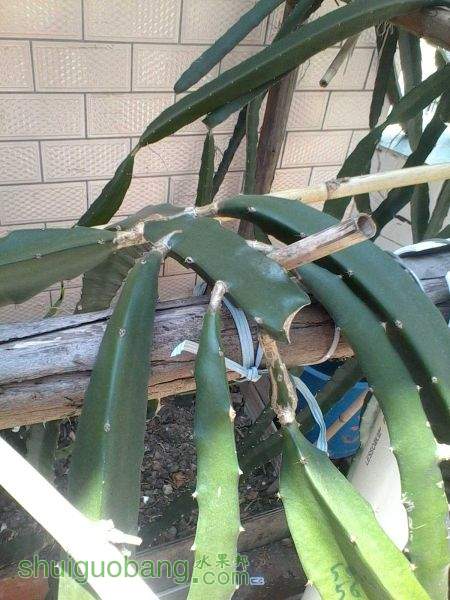 IMG_20150413_133219.jpg