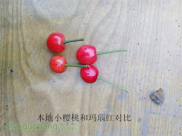 IMG_20150408_172354.jpg