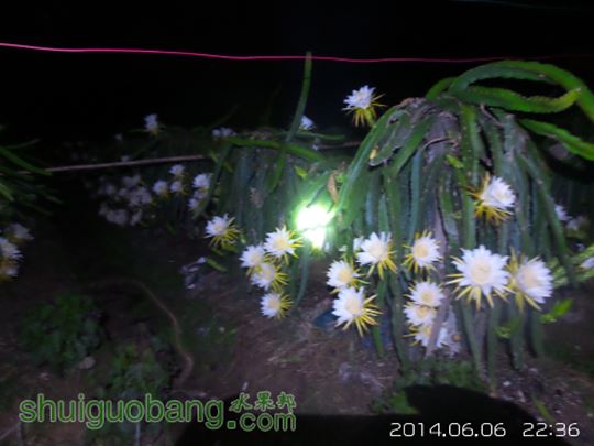 20140606_223656.jpg