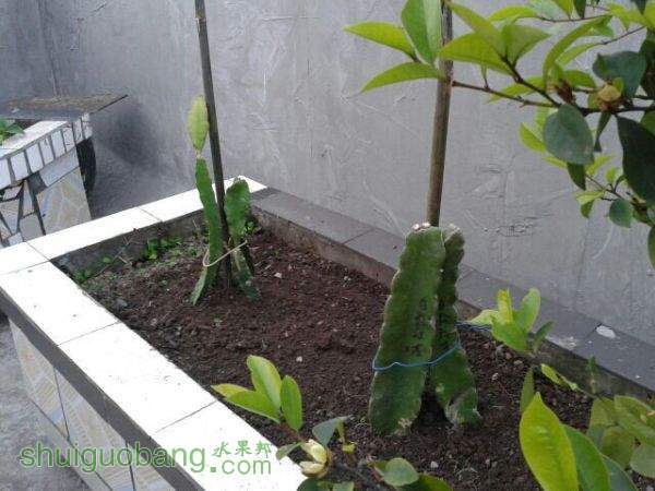 QQͼƬ20150415122327.jpg