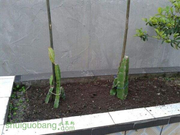 QQͼƬ20150415122311.jpg