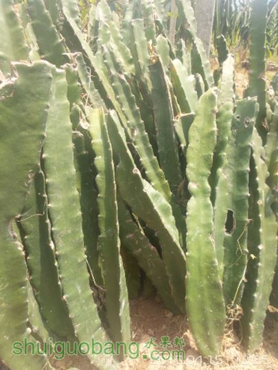 20150415_122519.jpg
