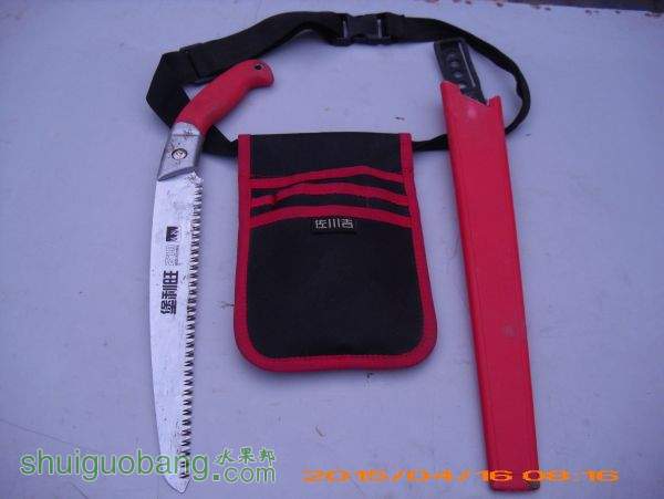 DSCI0269.JPG