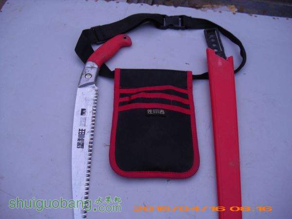 DSCI0270.JPG