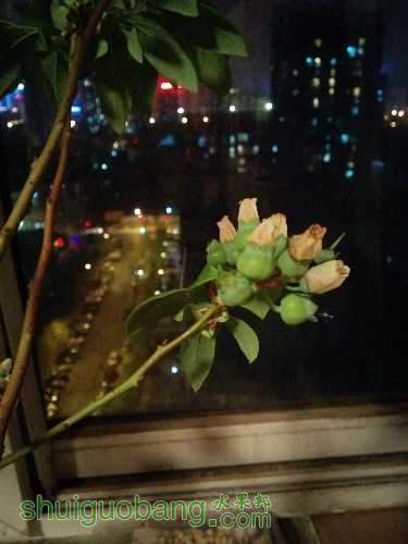 IMG_20150415_211840.jpg