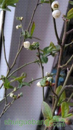 IMG_20150417_073204.jpg