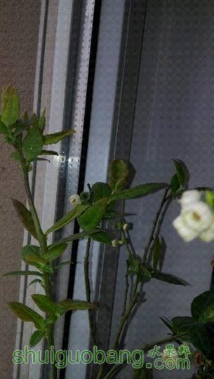 IMG_20150417_073126.jpg