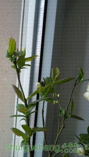 IMG_20150417_073120.jpg