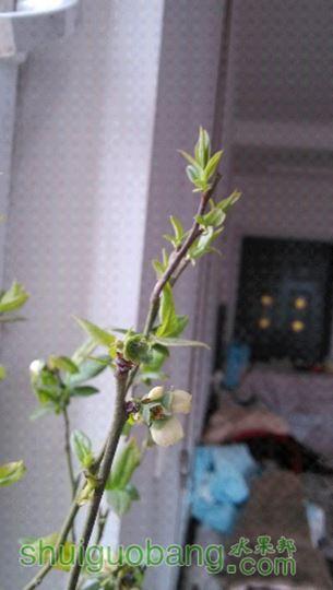 IMG_20150417_073105.jpg