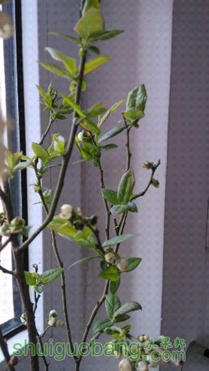 IMG_20150417_072917.jpg