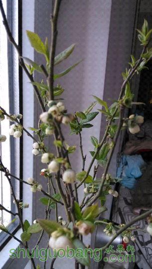 IMG_20150417_072858.jpg