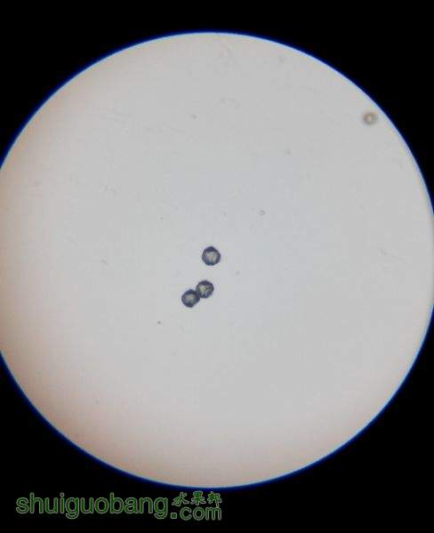 ͼ20150417120457.jpg