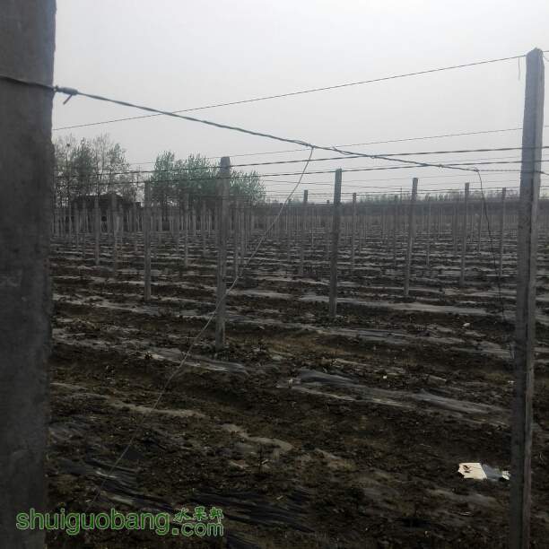 123229l78sesyb8r1be336.jpg