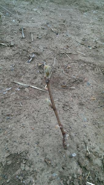 IMAG0814.jpg