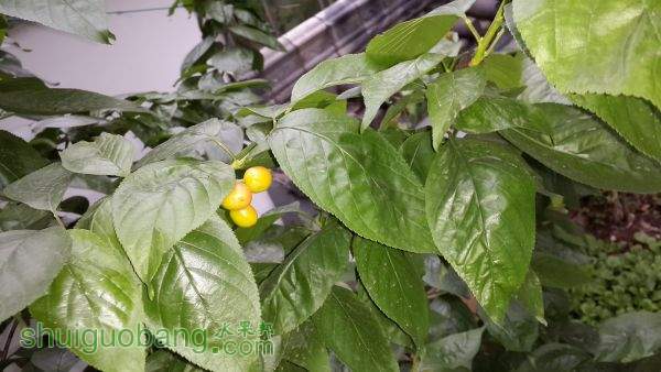 20150419_152336.jpg