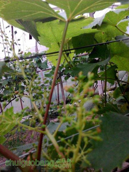 IMG_20150420_170129.jpg