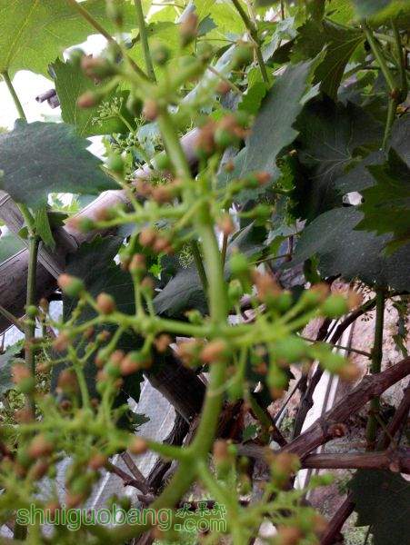 IMG_20150420_170932.jpg