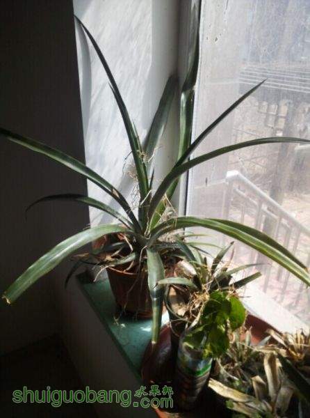 QQͼƬ201409141911.jpg