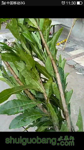 Screenshot_2015-04-21-11-30-14-646.png