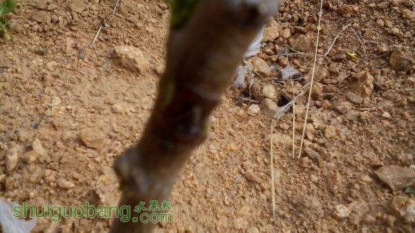 IMG_20150421_142727.jpg