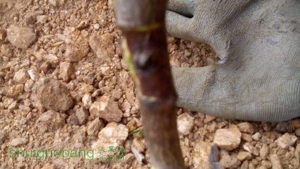 IMG_20150421_142915.jpg