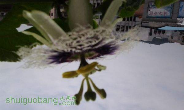 20150421_104249.jpg