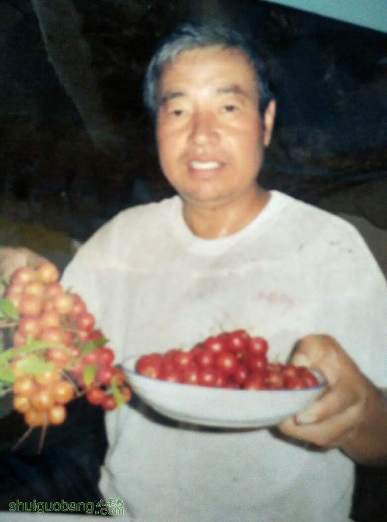 062234lspmqm4dj9gsp1yu.jpg