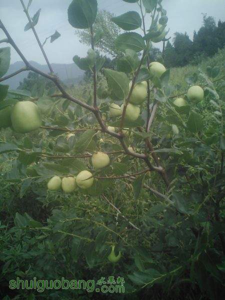 IMG_20140908_120038.jpg