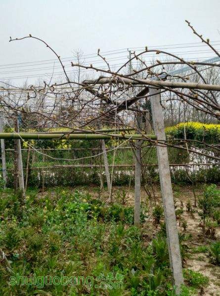 �������ںܶ໨