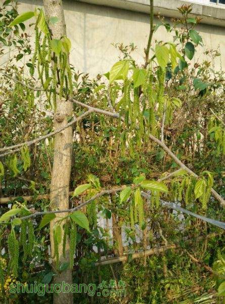 ¶���Գ���ɣ����ȫ����