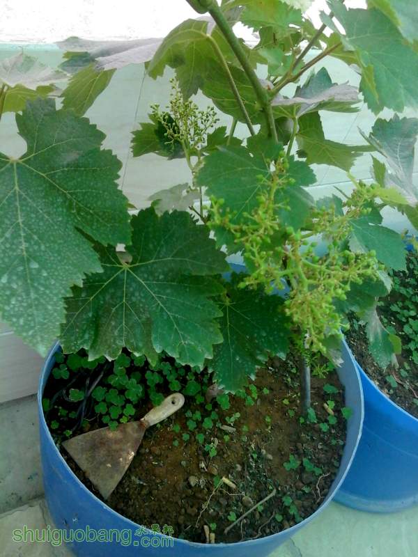 ��ȥ�ķ�֮һ