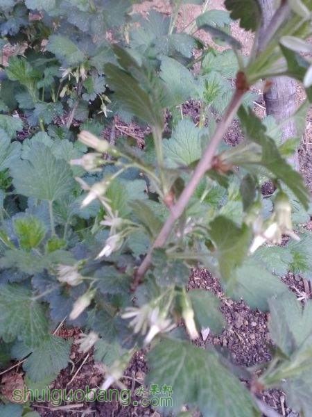 IMG_20150423_060246.jpg
