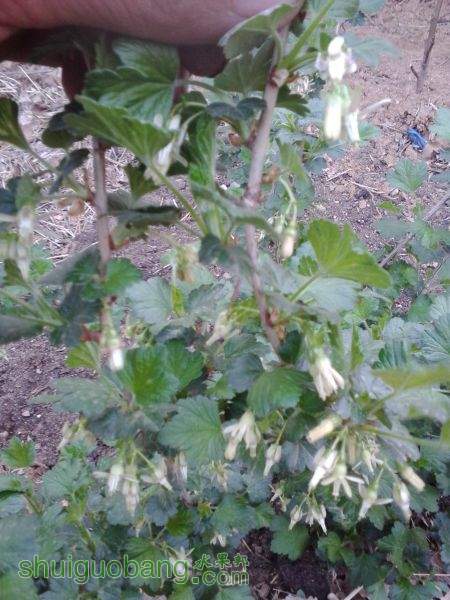 IMG_20150423_060324.jpg