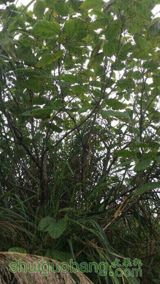 20150423_135732.jpg