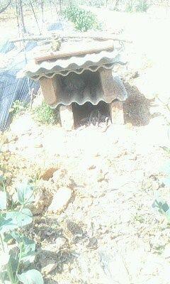 IMG0557A.jpg