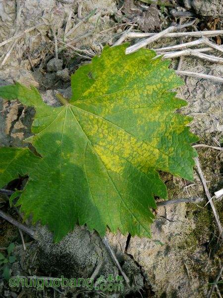 IMG_20150419_083539.jpg