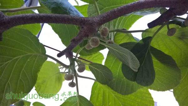 WP_20150417_18_05_24_Pro.jpg