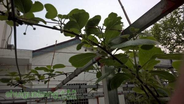WP_20150417_18_14_00_Pro.jpg