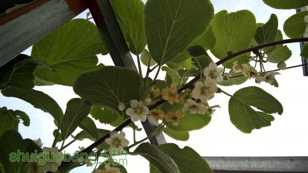WP_20150423_07_59_57_Pro.jpg