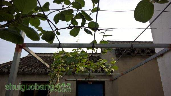 WP_20150423_08_00_18_Pro.jpg