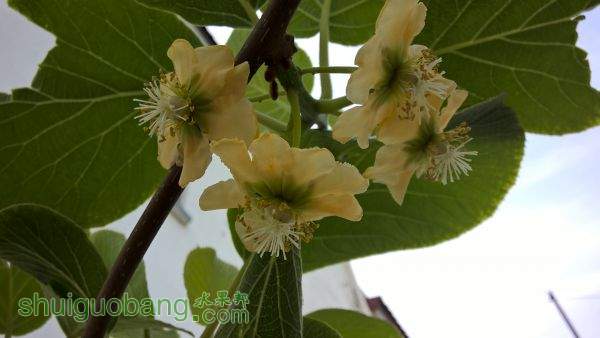 WP_20150423_08_20_39_Pro.jpg