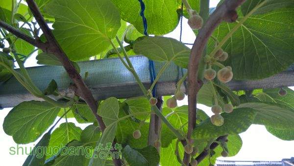 WP_20150423_08_21_06_Pro.jpg