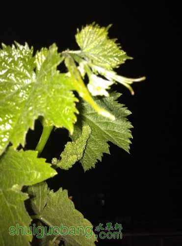 IMG_20150423_210312.jpg