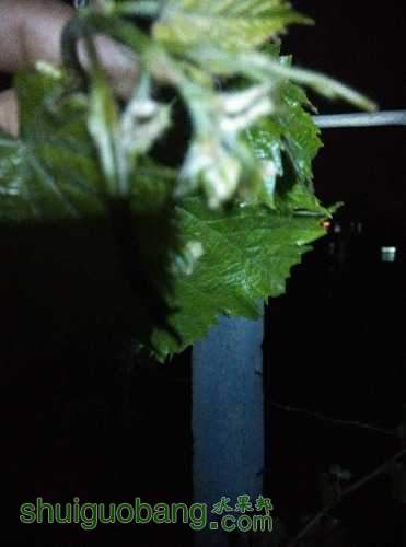 IMG_20150423_210624.jpg
