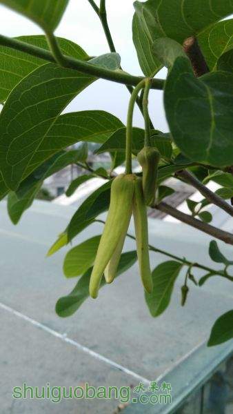 IMG_20150424_064423.jpg