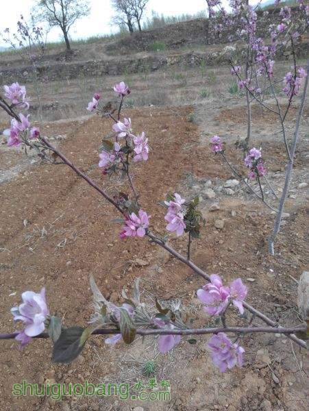 IMG_20150415_172416.jpg